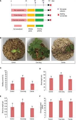 Soil amendment with cow dung modifies the soil nutrition and microbiota to reduce the ginseng replanting problem